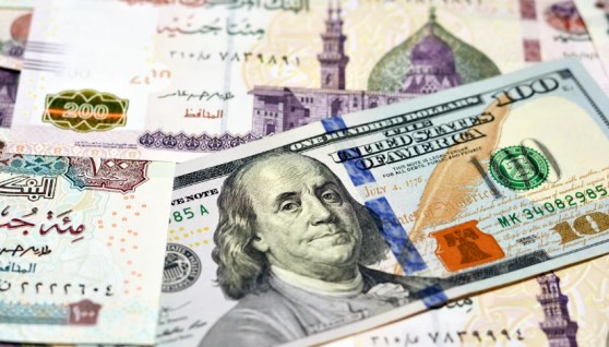 سعر الدولار اليوم 