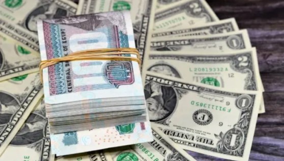 سعر الدولار