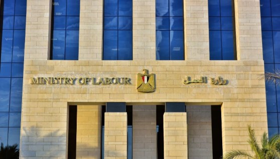 وزارة العمل المصرية 