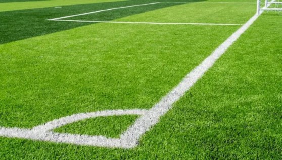  النجيل الصناعي،أبرز النماذج التي تشهد نمو متسارع