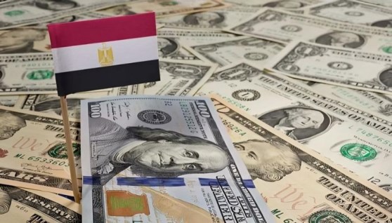 الاحتياطي النقدي المصري