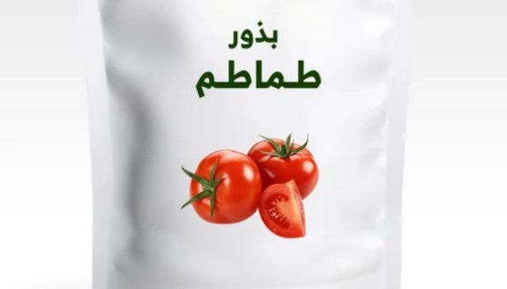 سوق بذور الطماطم