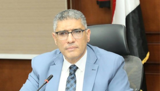 المهندس عادل النجار، محافظ الجيزة