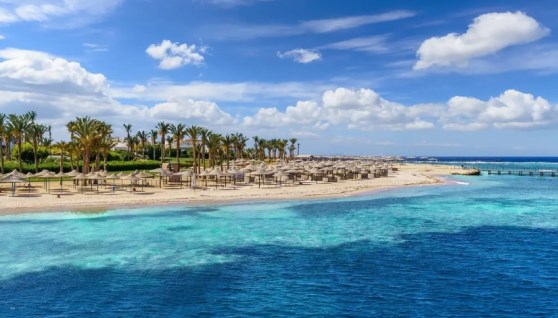 ساحل البحر الأحمر