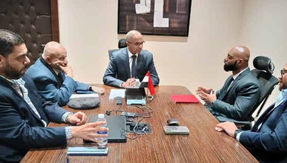نائب وزير الإسكان خلال لقاء مسئولي إحدى الشركات العالمية