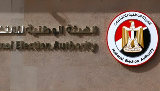 الهيئة الوطنية للانتخابات