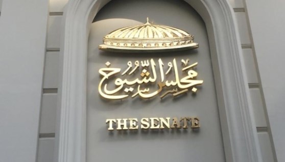 انتخابات مجلس الشيوخ