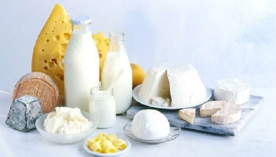 صناعة الألبان 