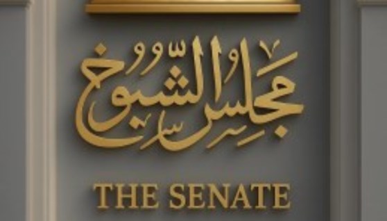 انتخابات مجلس الشيوخ
