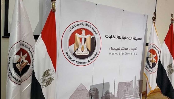 الهيئة الوطنية للانتخابات