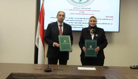منى رزق رئيس الشركة المصرية لنقل الكهرباء