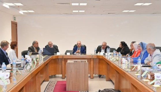 الرى 