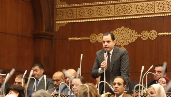 أحمد فوزي مرشح حزب مستقبل وطن