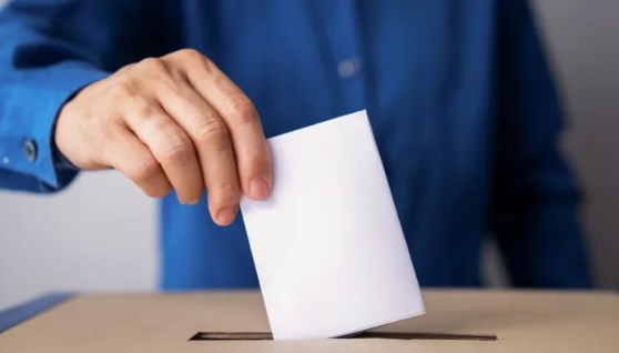 انتخابات مجلس الشيوخ 2025