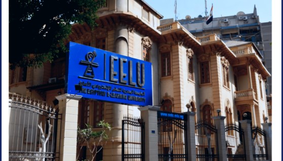 الجامعة المصرية للتعلم الإلكتروني الأهلية