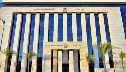 وزارة العمل المصرية 
