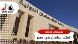 تنسيق الملك سلمان 