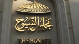مجلس الشيوخ