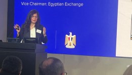 هبة الصيرفي، نائب رئيس البورصة المصرية
