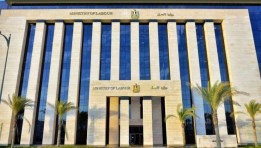 وزارة العمل