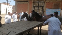 جانب من الفحص والعلاج