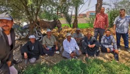 جانب من الأنشطة