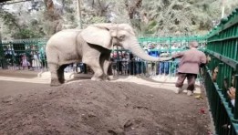 حديقة حيوان