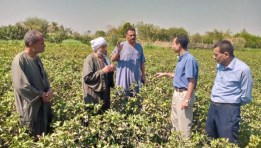 جانب من الارشاد الزراعي