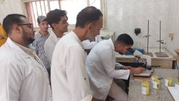 جانب من الأنشطة