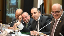 وزير الشئون النيابية