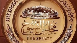 مجلس الشيوخ