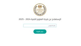 نتيجة الدبلومات الفنية