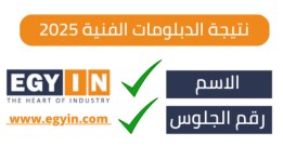 نتيجة الدبلومات الفنية 2025