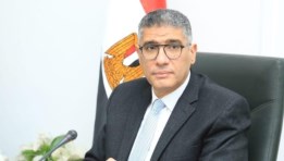 المهندس عادل النجار، محافظ الجيزة