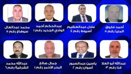 المقاعد الفردية بانتخابات الشيوخ 2025