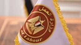 وزارة العمل المصرية 
