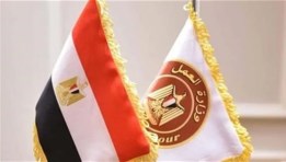 وزارة العمل المصرية