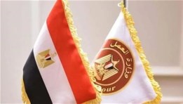 وزارة العمل المصرية 
