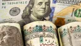 سعر الدولار مقابل الجنيه المصري 