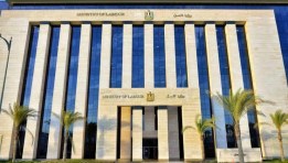 وزارة العمل المصرية 