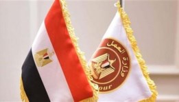 وزارة العمل المصرية 