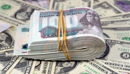 سعر الدولار اليوم 