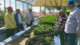 رئيس بحوث الصحراء يتفقد محطة شمال سيناء 