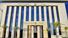وزارة العمل المصرية 