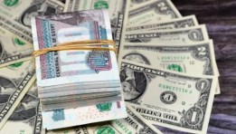 سعر الدولار