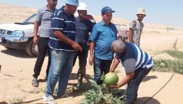خبراء بحوث الصحراء يواصلون جولاتهم الميدانية