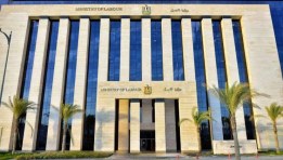 وزارة العمل المصرية 