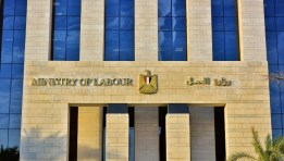وزارة العمل المصرية 