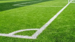  النجيل الصناعي،أبرز النماذج التي تشهد نمو متسارع