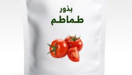 سوق بذور الطماطم